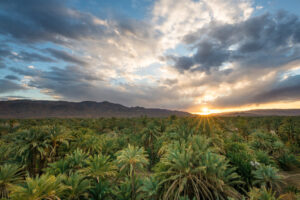 Draa Valley - 5 Days Tour from Marrakech to Merzouga