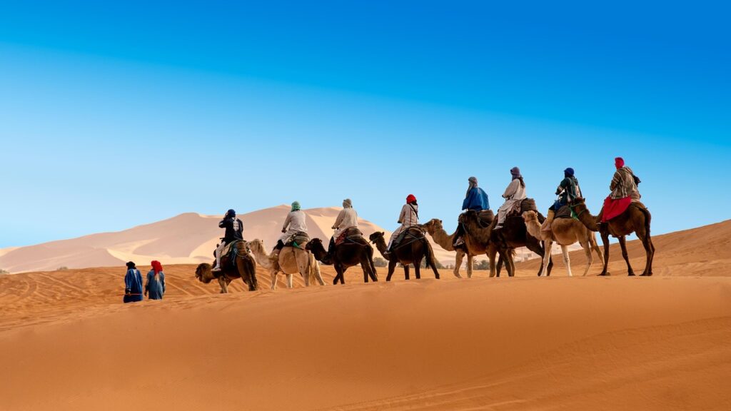 desert, the sand dunes, caravan